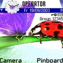 Butterfly and Bug