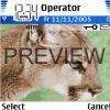 Safari Animal