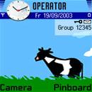 Vaca
