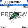 Insecto