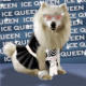 Ice Queen