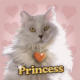 Princess