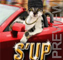 Sup