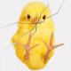 Chick Breaking Glass