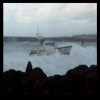 Acidente de Barco 8 