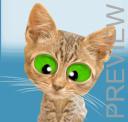 Kitten