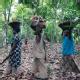 Travel in New African Woman Magazine