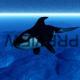 no_save